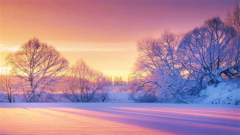 Snowy Morning At Dawn Misty River Colors Landscape Trees Sky Hd Wallpaper Pxfuel