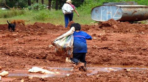 Levantamento Mostra Que No Brasil Tem Cerca De 32 Milhões De Crianças E