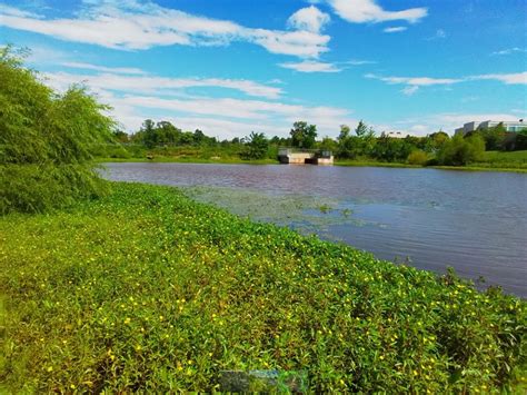 Water Quality Awareness Community Science And Conservation