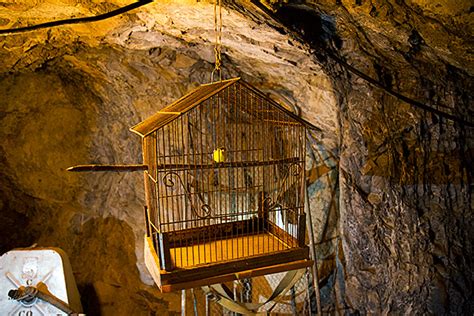 Mining-Bird - Sierra Silver Mine Tour