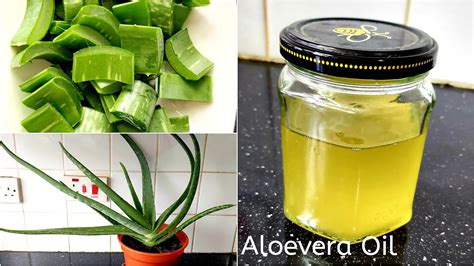 How To Make Aloe Vera Oil Homemade AloeVera Hair Oil For Double Hair