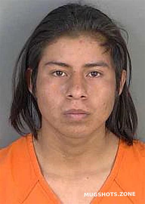 MARTINLOPEZ RIGOBERTO 04 15 2024 Collier County Mugshots Zone