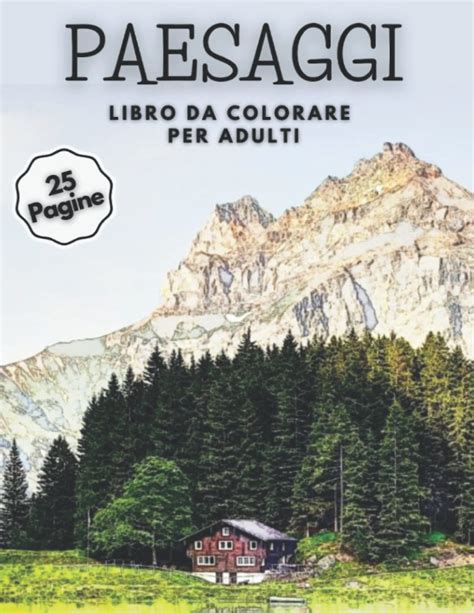 Buy Paesaggi Libro Da Colorare Per Adulti 25 Pagine Di Boschi