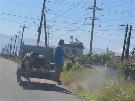 全國首例本土日本腦炎病例 屏東縣現跡 生活 中時