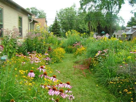 78 best Native Michigan Plants images on Pinterest | Native gardens ...