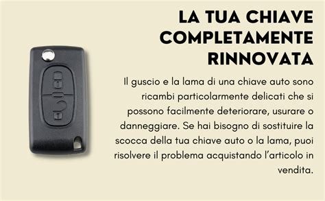 Shoppy Lab Guscio Scocca Chiave Telecomando 2 Tasti Ricambio