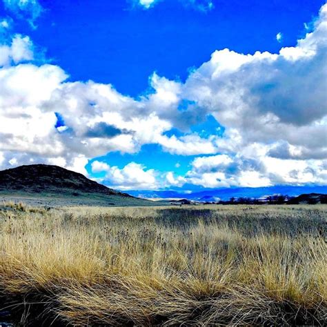 Shasta Wildlife Area, Siskiyou County, Northern California, Shasta ...