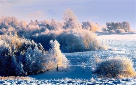 Snowy Landscape Wallpapers - Wallpaper Cave