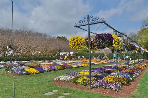 Lunchtime Learning With Horticulture At The Dallas Arboretum