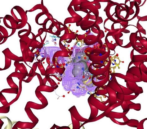 The Hsa Benzyl Penicilloyl G Complex Constructed In Protein Plus