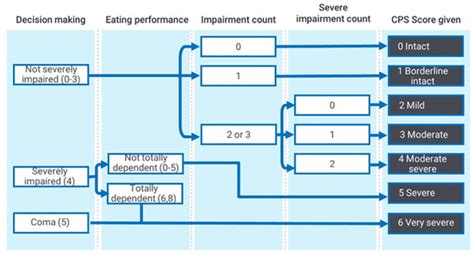 Ijerph Free Full Text Performance Of The Cognitive Performance