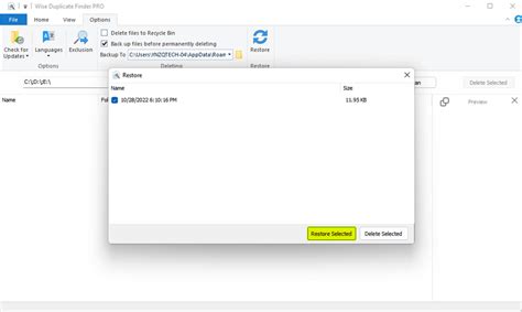 How To Restore Files Deleted By Mistake In Wise Duplicate Finder