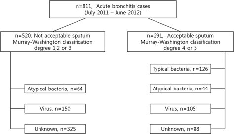 Etiology Of Acute Bronchitis In 291 Patients With Acceptable Sputum And Download Scientific