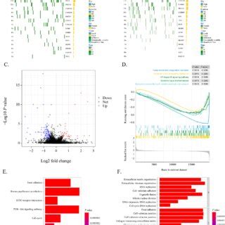 The Three Immune Gene Related Clusters Had Different Genomic Functions