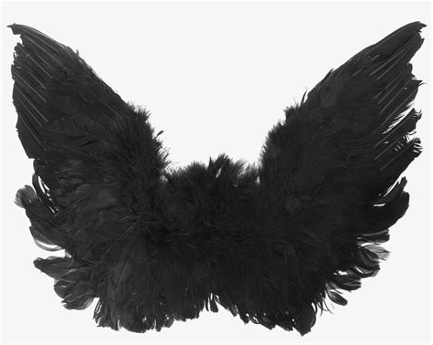 Roblox Black Wings