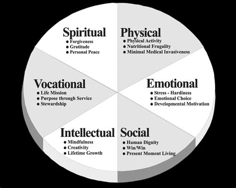 Jungian Archetypes And Their Shadow In One Diagram Artofit