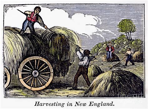 FARMING: HARVEST, 1830s Photograph by Granger