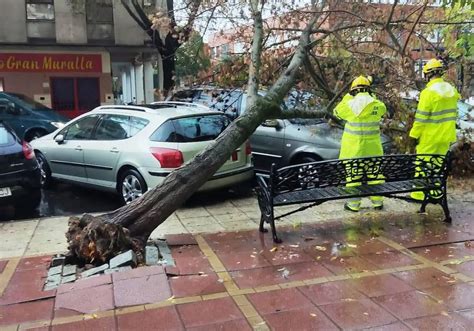 Ampliada A Toda Extremadura La Alerta Por Fuertes Vientos Hoy