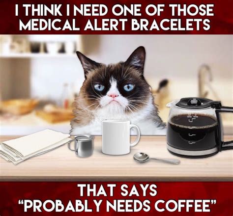 Grumpy Cat Life 🚑 Cat Quotes Funny Coffee Jokes Grumpy Cat Humor