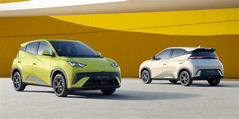 meet  byd atto    ev   masses