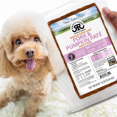 12 Fresh Dog Food Brands Delivered - All-Natural Fresh Pet Food Options ...