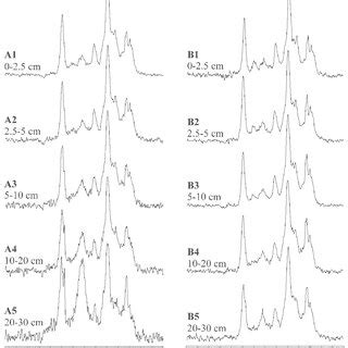 The 13 C Variable Amplitude Cross Polarization And Magic Angle Spinning