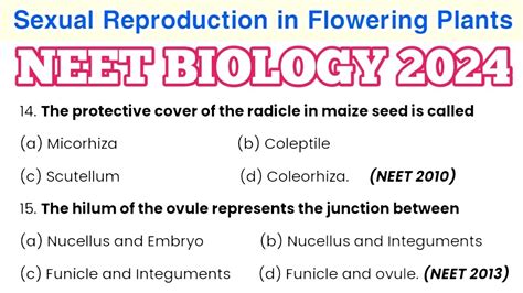 Sexual Reproduction In Flowering Plants Class 12 MCQ NEET 2024 Most