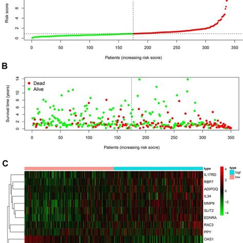 Development Of The Prognostic Index Based On Immune Related Genes A