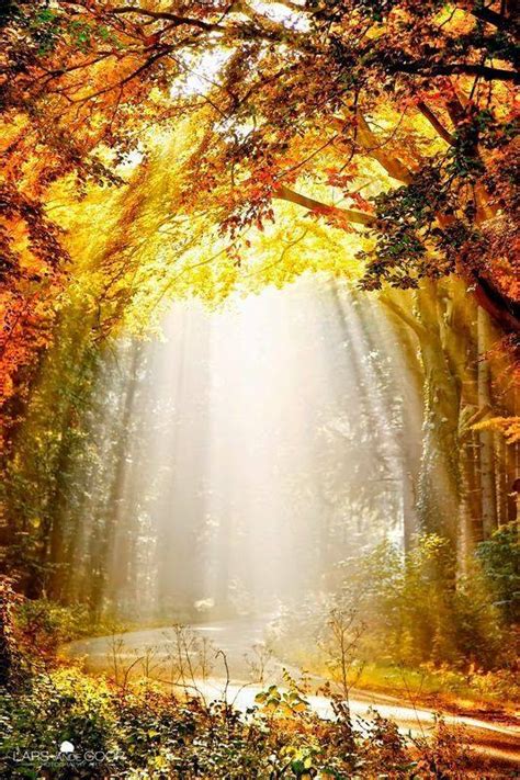 Breathtaking Sun Rays Photography - XciteFun.net