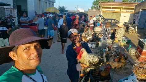 Vanio Da Feira Das Galinhas Mostrando As Novidades Em Arapiraca Al