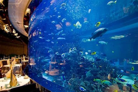 Al Mahara Aquarium Restaurant Burj Al Arab Dubai Aquarium Views