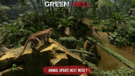 Green Hell On Steam