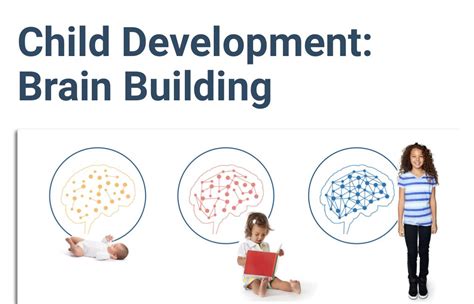 What are the stages of baby brain development 0 2 years – Artofit