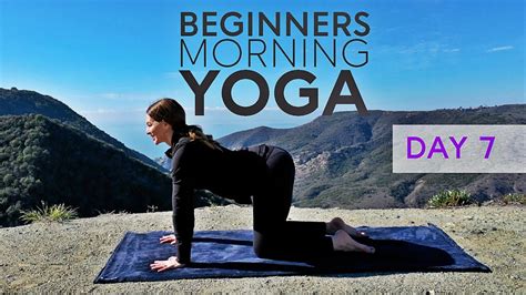 Beginners Yoga Morning Class 15 Minute Practice Day 7 Fightmaster