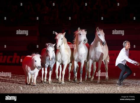 Jean-Francois Pignon showing a liberty dressage with a gray horses Stock Photo - Alamy