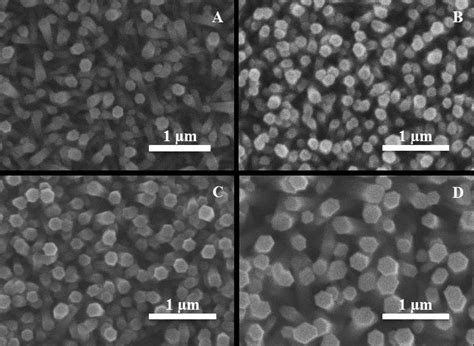 Top View Sem Images Of Zno Nrs Formed At Different Volumes Of Growth