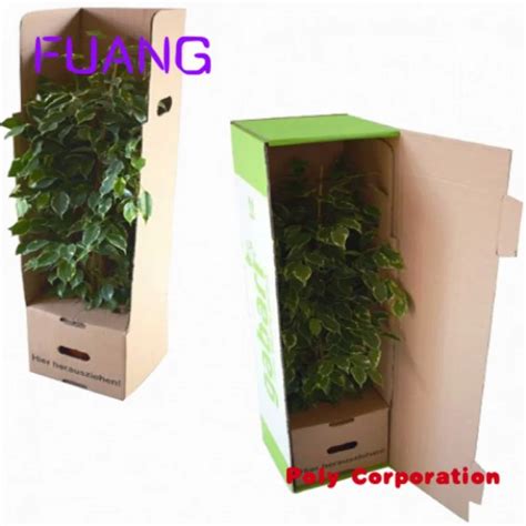 Custom Wholesale China Custom Paper Cardboard Long Live Plant Packaging Shipping Box For