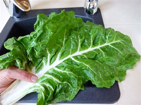 Foods For Long Life: Raw Vegan Dolmas - Great As An Appetizer Or For Lunch