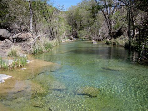 Free Images Creek Wilderness Flower Lake River Pond Stream