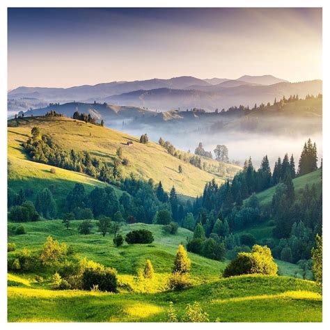 A Green Valley With Trees And Mountains In The Background