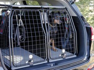 Bilbur Till Hund B St I Test Hundguiden