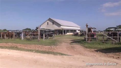 Mennonites In Belize Old Colony Mennonites Singing Youtube