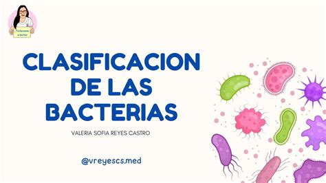 ClasificaciÓn De Las Bacterias Valeria Sofia Reyes Castro Udocz