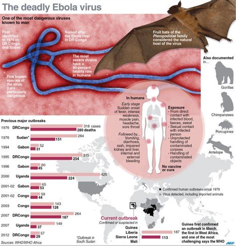 Infographic Fact File On The Deadly Ebola Virus Including Latest Toll