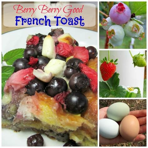 Berry Berry Good French Toast Life Is Just Ducky