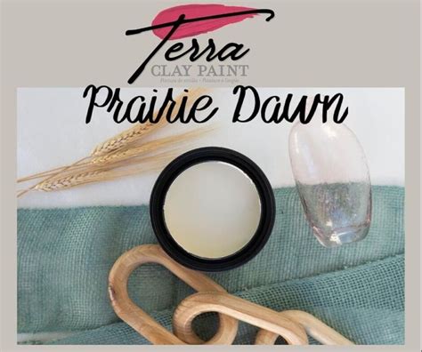 Prairie Dawn Terra Clay Paint By Dixie Belle Paint Company New Clay