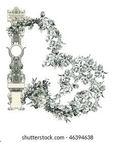 Luxuriously Illustrated Old Capital Letter B Stock Illustration