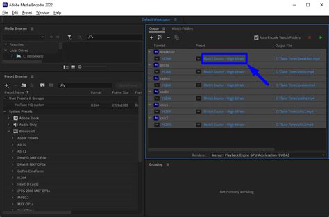 Multiple Render In Premiere Pro