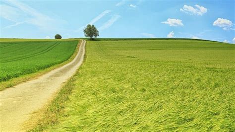 Feld Wald Und Wiese Bildungsportal Niedersachsen