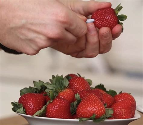 Une astuce simple et peu coûteuse pour produire les fraises les plus